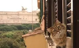 Bed & Breakfast At Your Place Rome